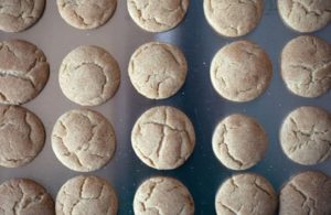 Snickerdoodle Cookies - Thyme with Catherine